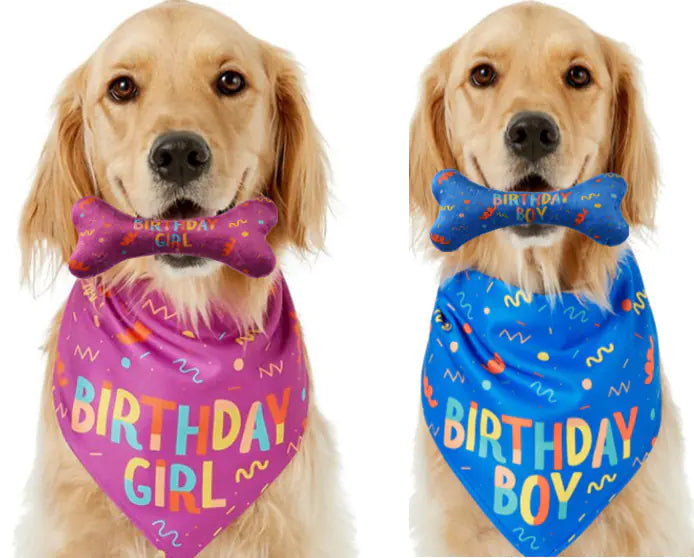 Pet Triangle Scarf and Dog Birthday Bone Toy