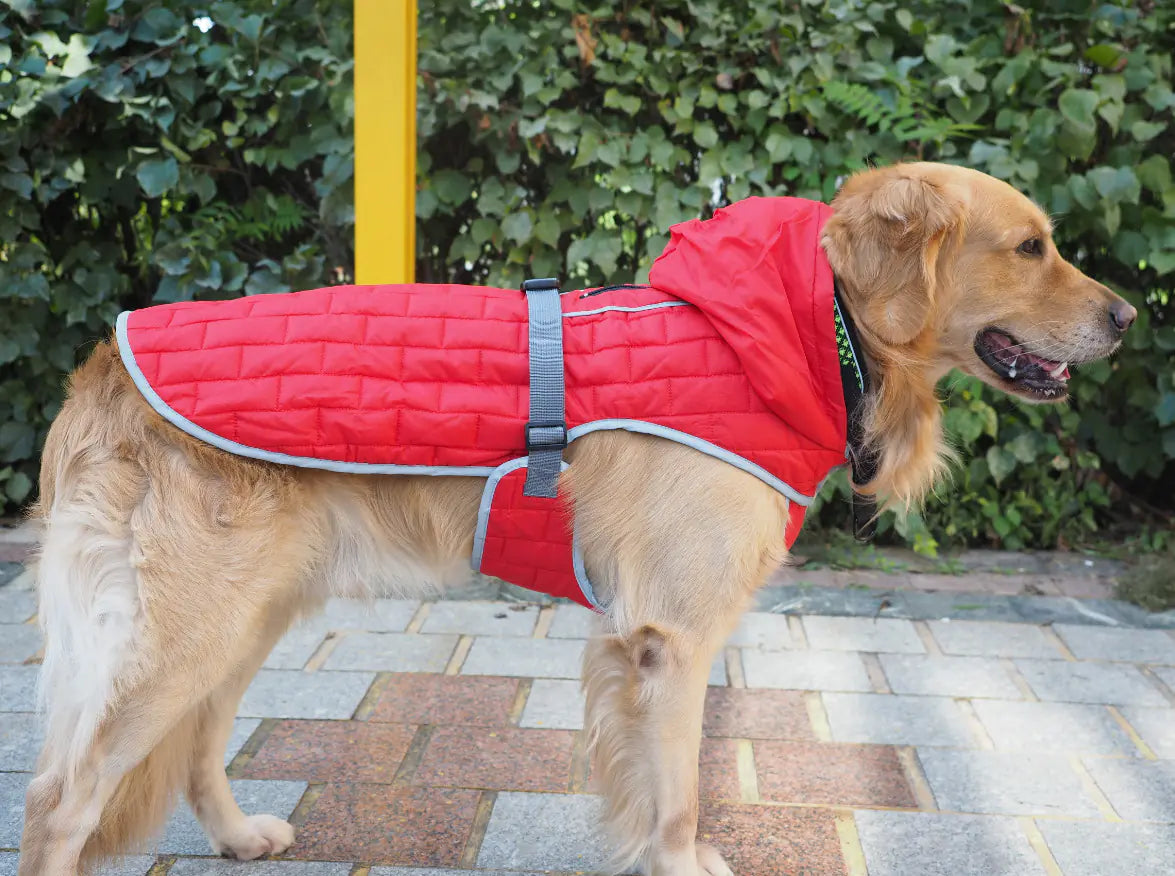Dog Coat for Large Breeds, Reversible Waterproof Jacket