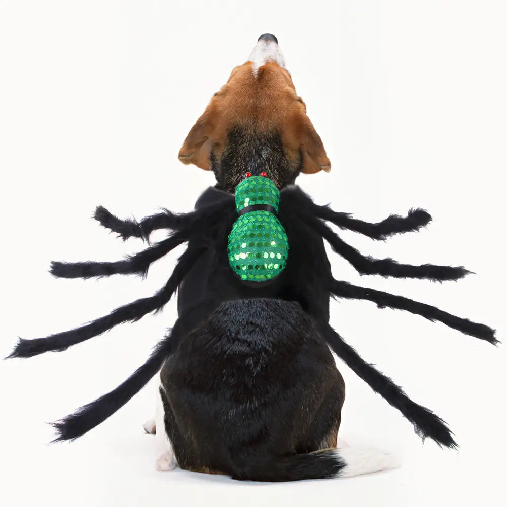 Pet Sequined Spider Halloween Costume for Cats & Dogs