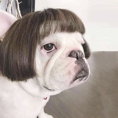 Pet Wigs for Dogs and Cats - Halloween Costumes