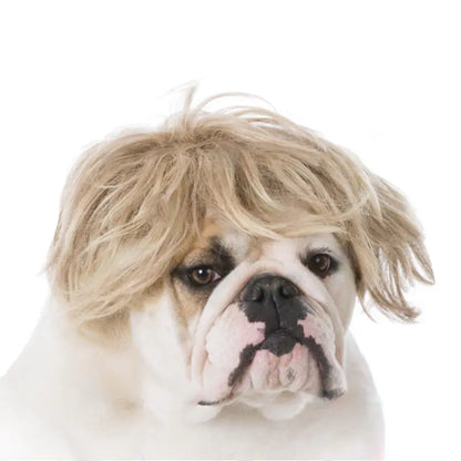 Pet Wigs for Dogs and Cats - Halloween Costumes